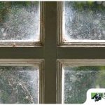 The Causes of Drafty Windows