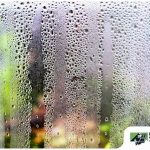 Why Do Windows Sweat in the Summer?