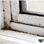 How To Check if Your Window Seals Have Failed