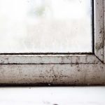 The Consequences of Ignoring Drafty Windows